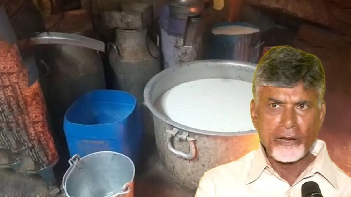 4 Die After Consuming Adulterated Milk in Andhra Pradesh, CM Chandrababu Naidu Announces Rs 10 Lakh Ex-Gratia 4 Die After Consuming Adulterated Milk in Andhra Pradesh, CM Chandrababu Naidu Announces Rs 10 Lakh Ex-Gratia