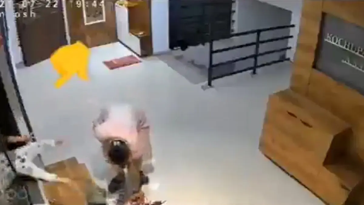 4-Year-Old Girl Dies After Falling from 12th Floor in Thane