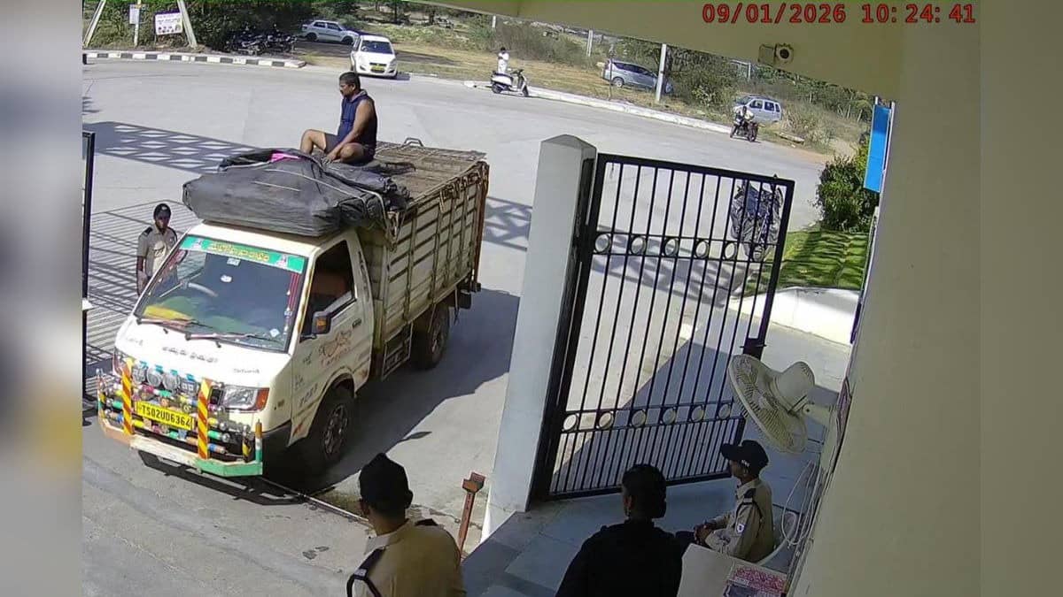 40 Dogs Allegedly Killed at Symbiosis Law College, Third Mass Culling Case in Telangana