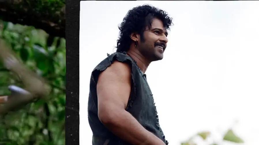 Description of the pic