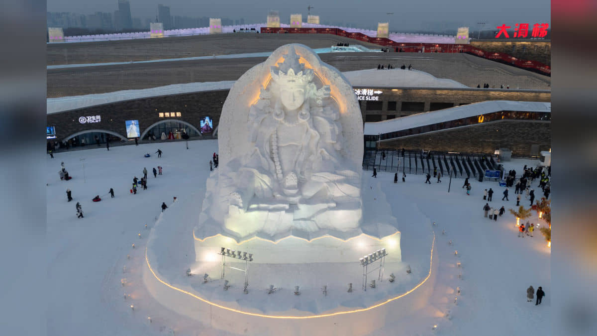 Description of the pic