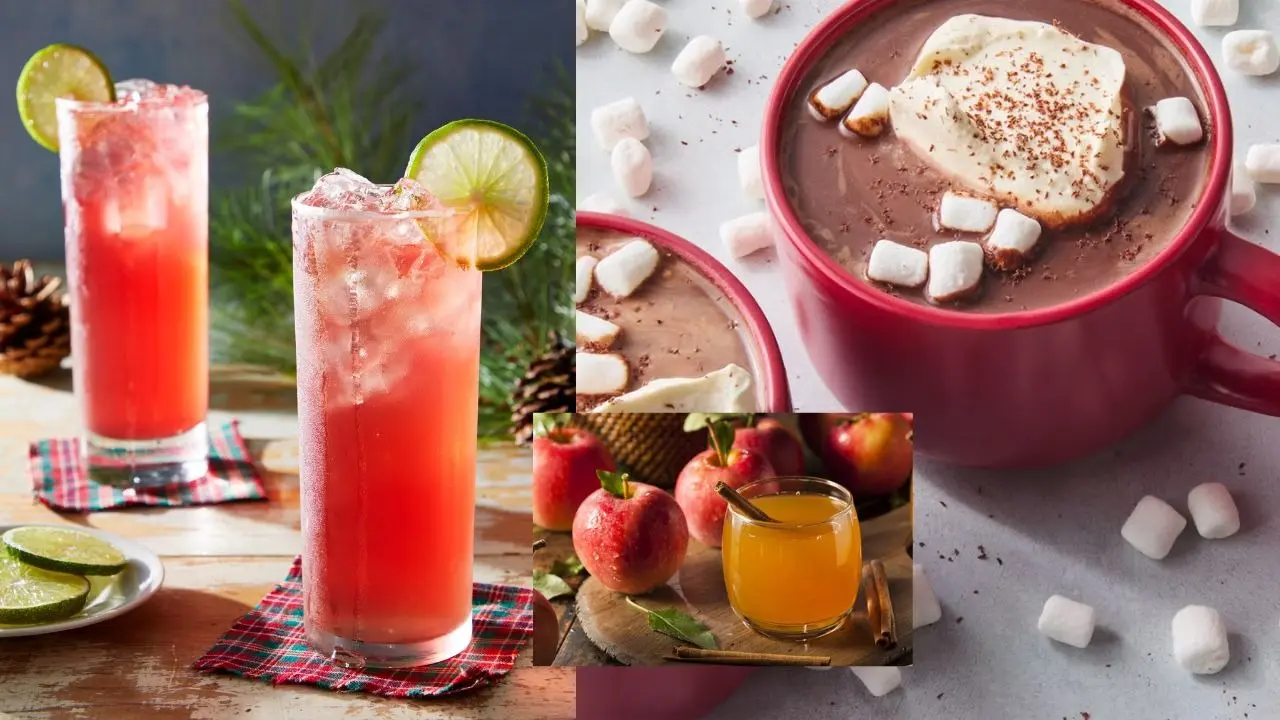 5 Non-Alcoholic Christmas Drinks To Try: Classic Hot Chocolate To Cranberry Fizz Mocktail 5 Non-Alcoholic Christmas Drinks To Try: Classic Hot Chocolate To Cranberry Fizz Mocktail