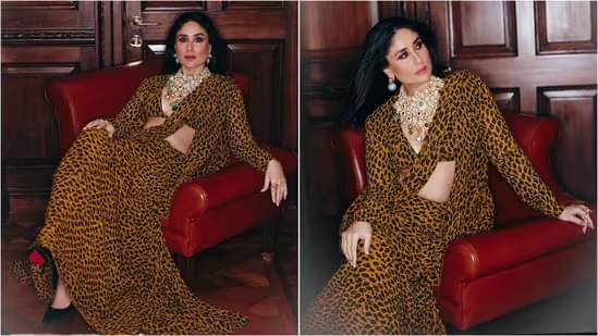 Description of the pic