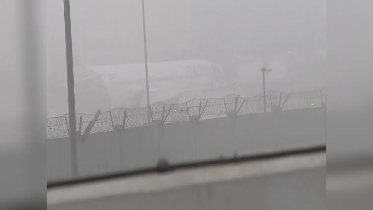 60 Arrivals, 58 Departures: Flights Cancelled At Delhi Airport Due To Dense Fog