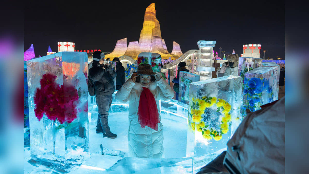 Description of the pic