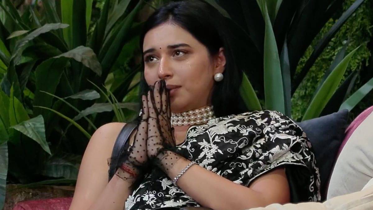 Description of the pic