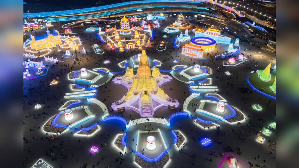 Description of the pic