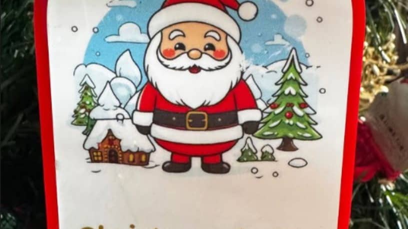 Description of the pic