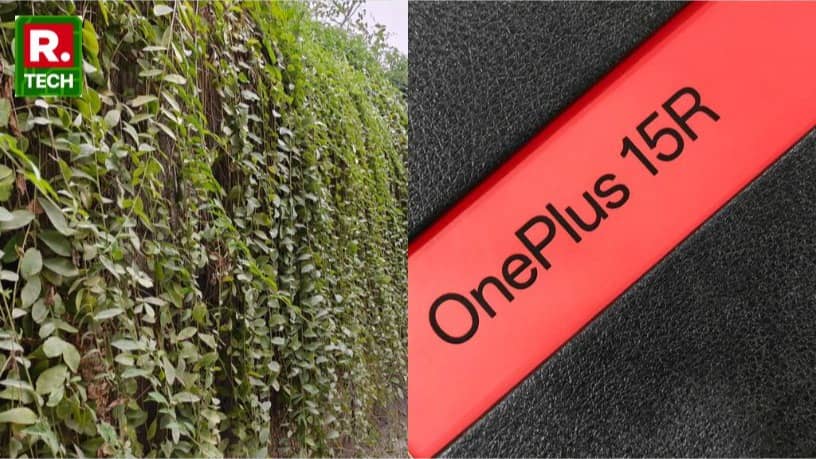 Description of the pic