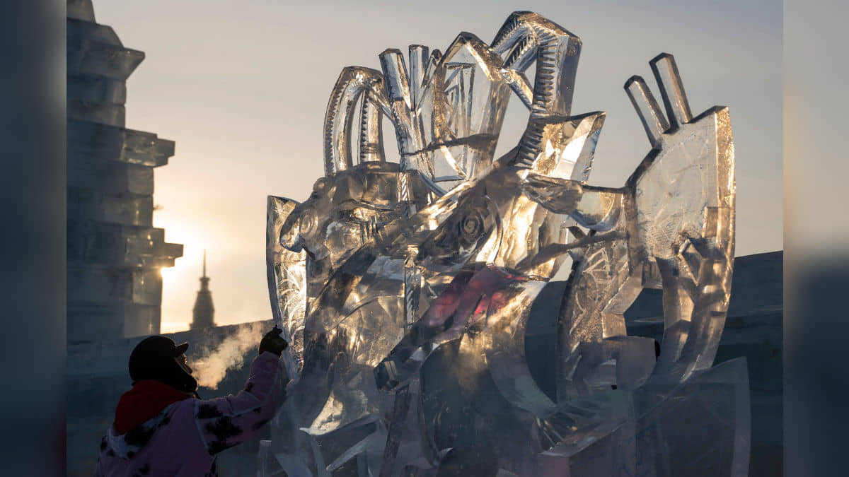 Description of the pic