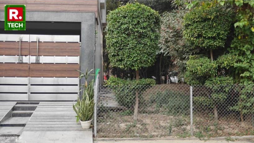 Description of the pic