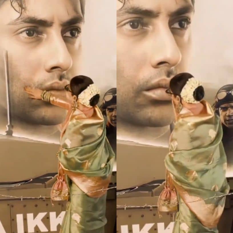 Description of the pic