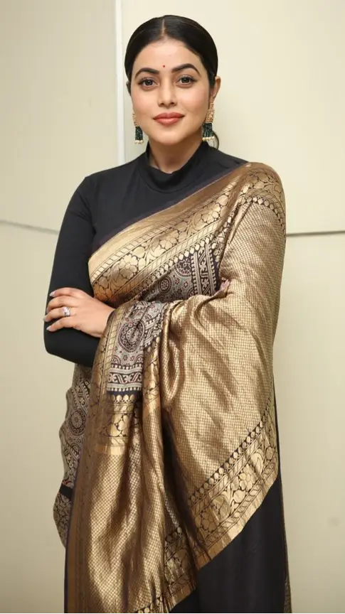 Description of the pic