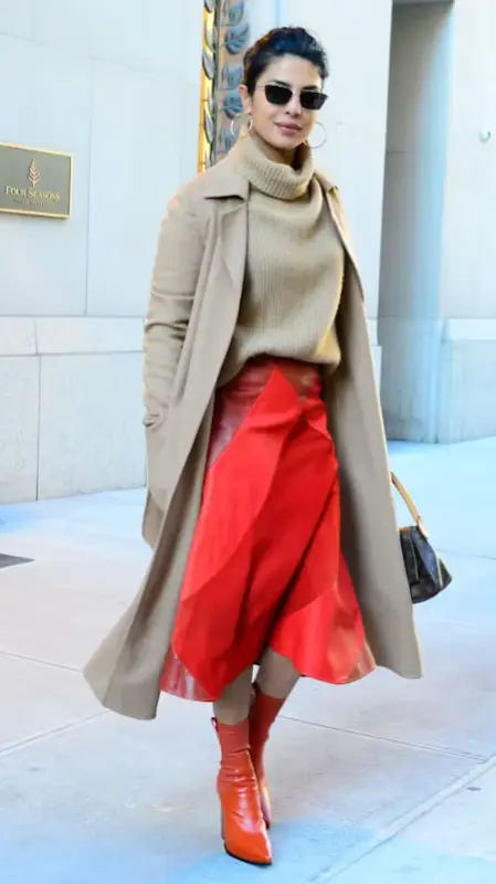 Description of the pic