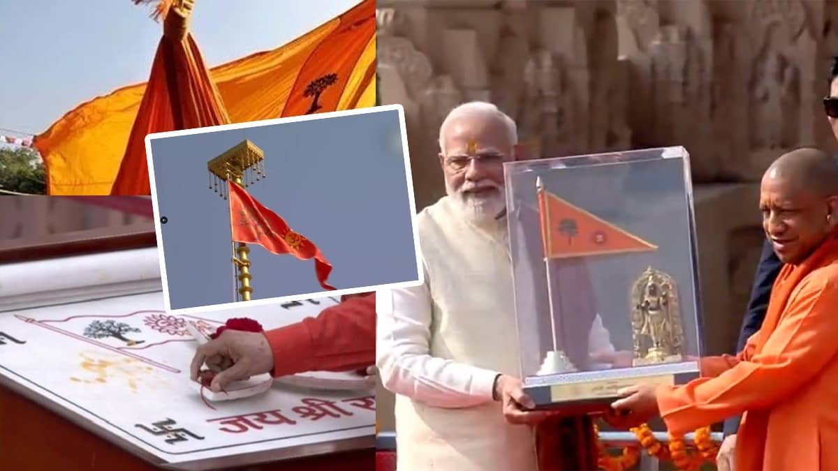 Description of the pic