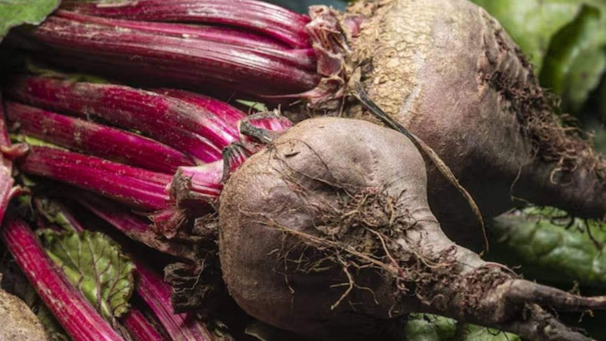 Description of the pic