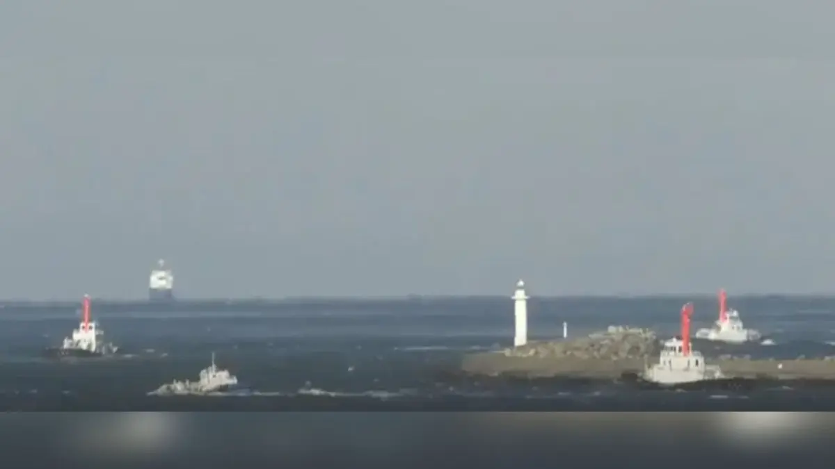 A 6.9 Magnitude Earthquake Causes Small Tsunami Waves Off Northeastern Japan