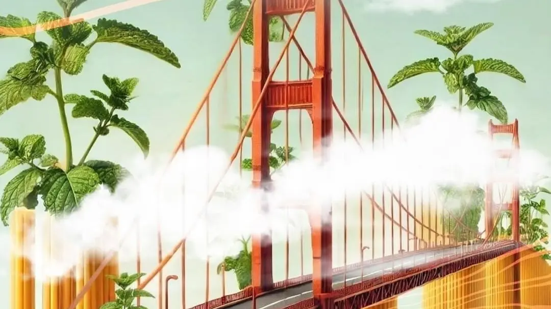 From California to New Delhi: A Culinary Experience Like No Other A California-Inspired Feast Awaits You in New Delhi