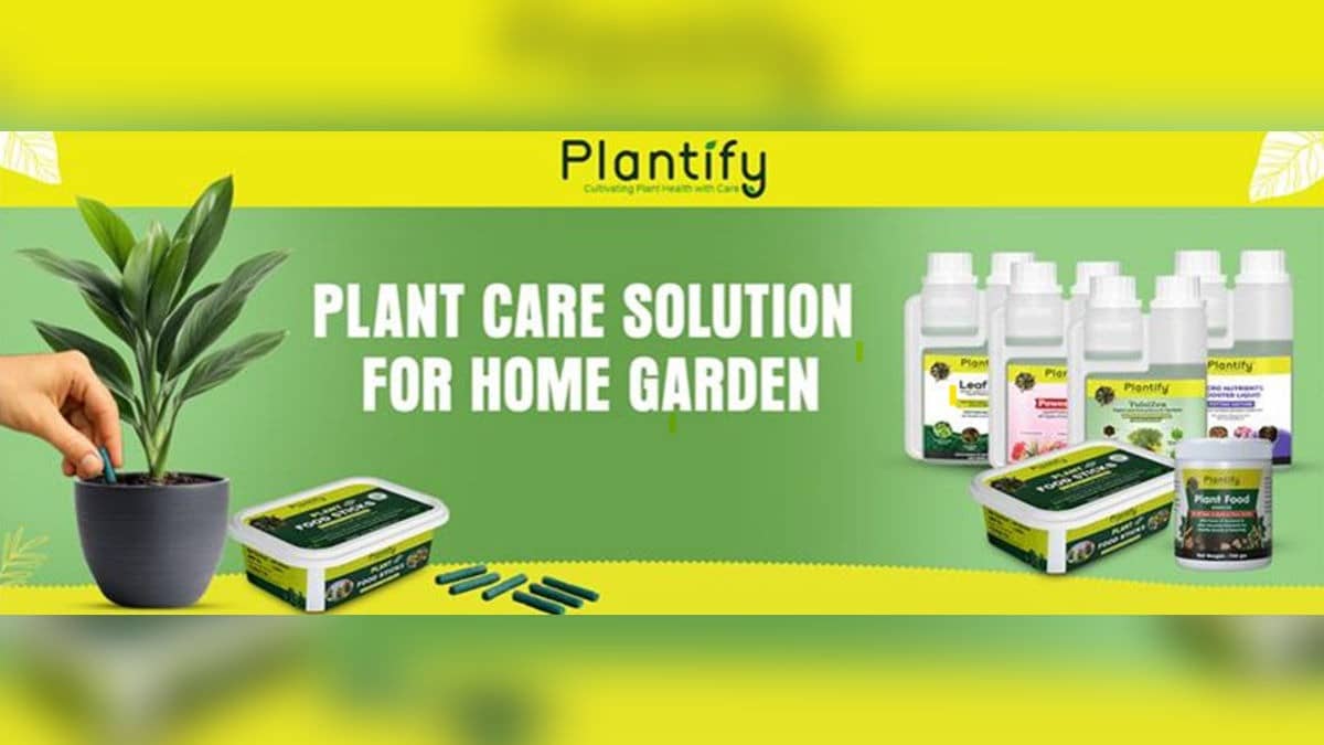 A Complete Beginner's Guide to Healthy Indoor Plants: Expert Tips Powered by Plantify Garden