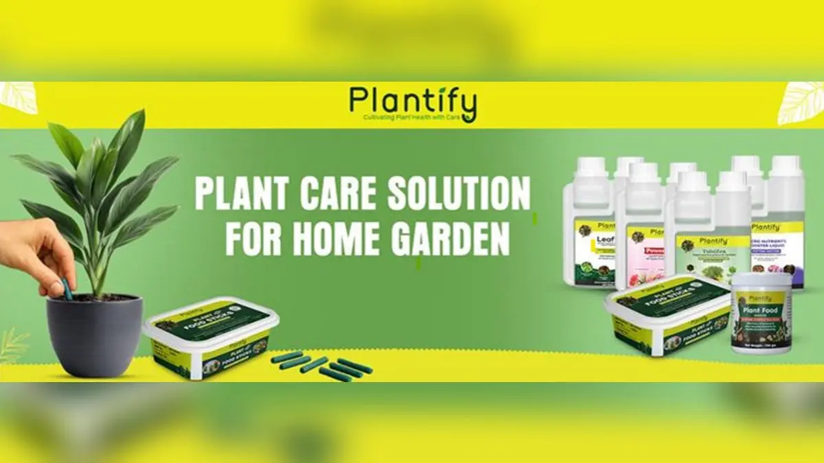 A Complete Beginner's Guide to Healthy Indoor Plants: Expert Tips Powered by Plantify Garden A Complete Beginner's Guide to Healthy Indoor Plants: Expert Tips Powered by Plantify Garden