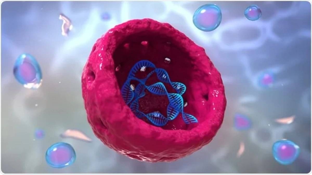 A file photo of cell nucleus