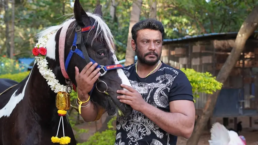 Kannada Star Darshan Thoogudeepa Says He's 'Here To Stay' In A First Video After Being Out On Bail In Renukaswamy Murder Case A file photo of Darshan.