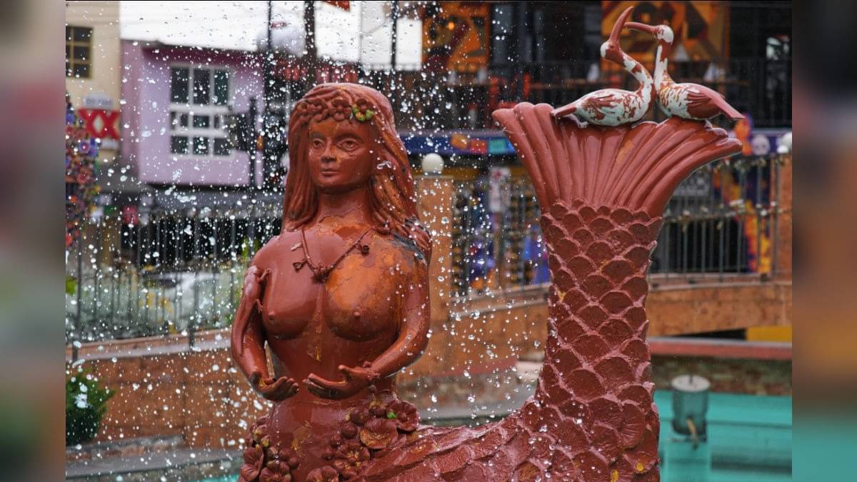 Description of the pic