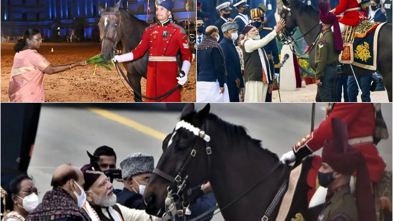 A Grand Salute: Indian Army Veteran 25-Year-Old Horse Viraat Finds Forever Home with PBG After 13 Republic Day Parades A Grand Salute: Indian Army Veteran 25-Year-Old Horse Viraat Finds Forever Home with PBG After 13 Republic Day Parades