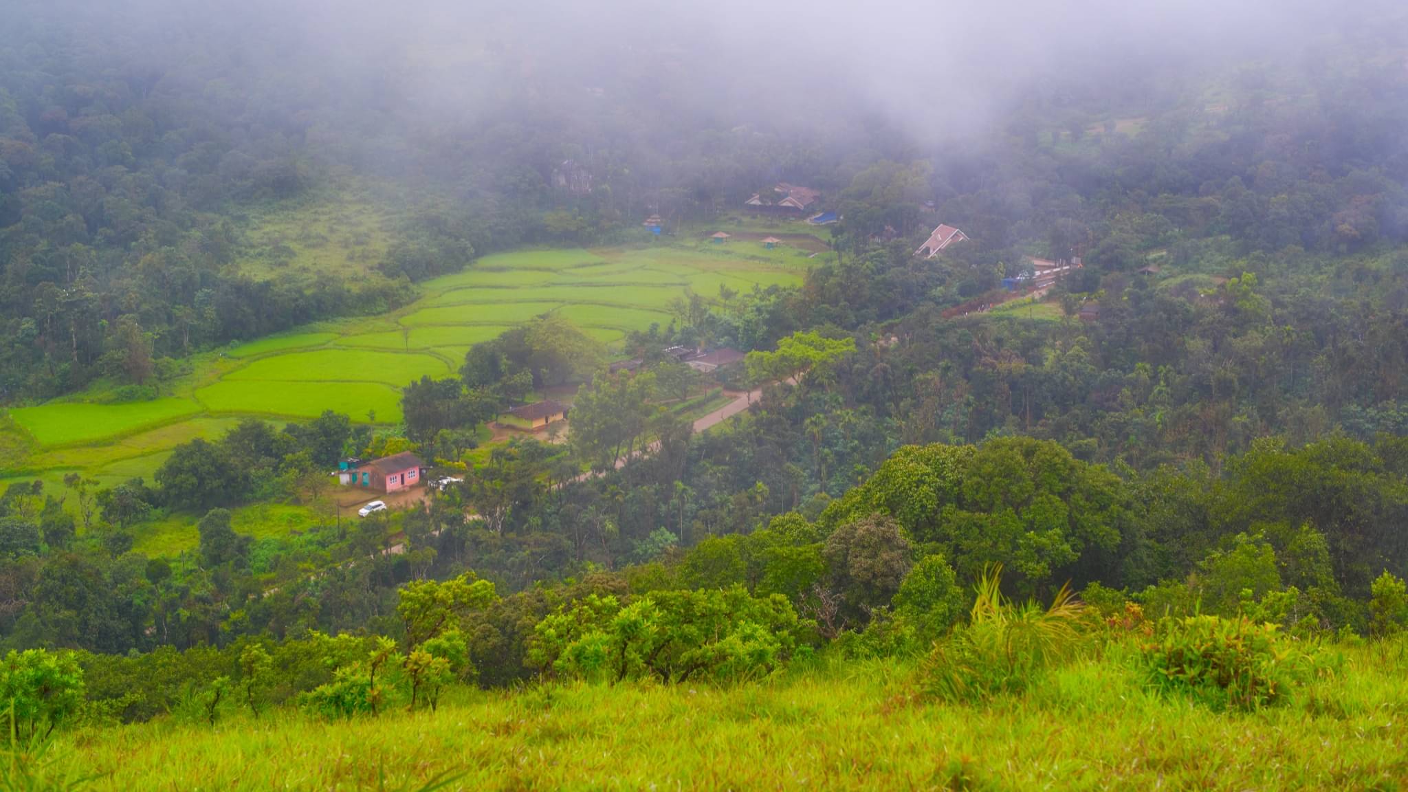 Description of the pic