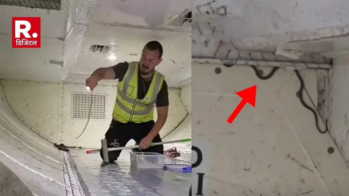 A live snake found in flight, causing delay for several hours