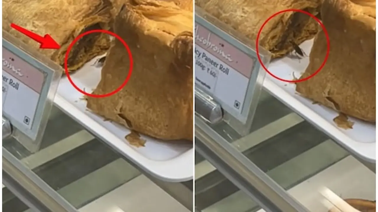 A Reddit user spotted a cockroach crawling over paneer rolls at an eatery in Mumbai