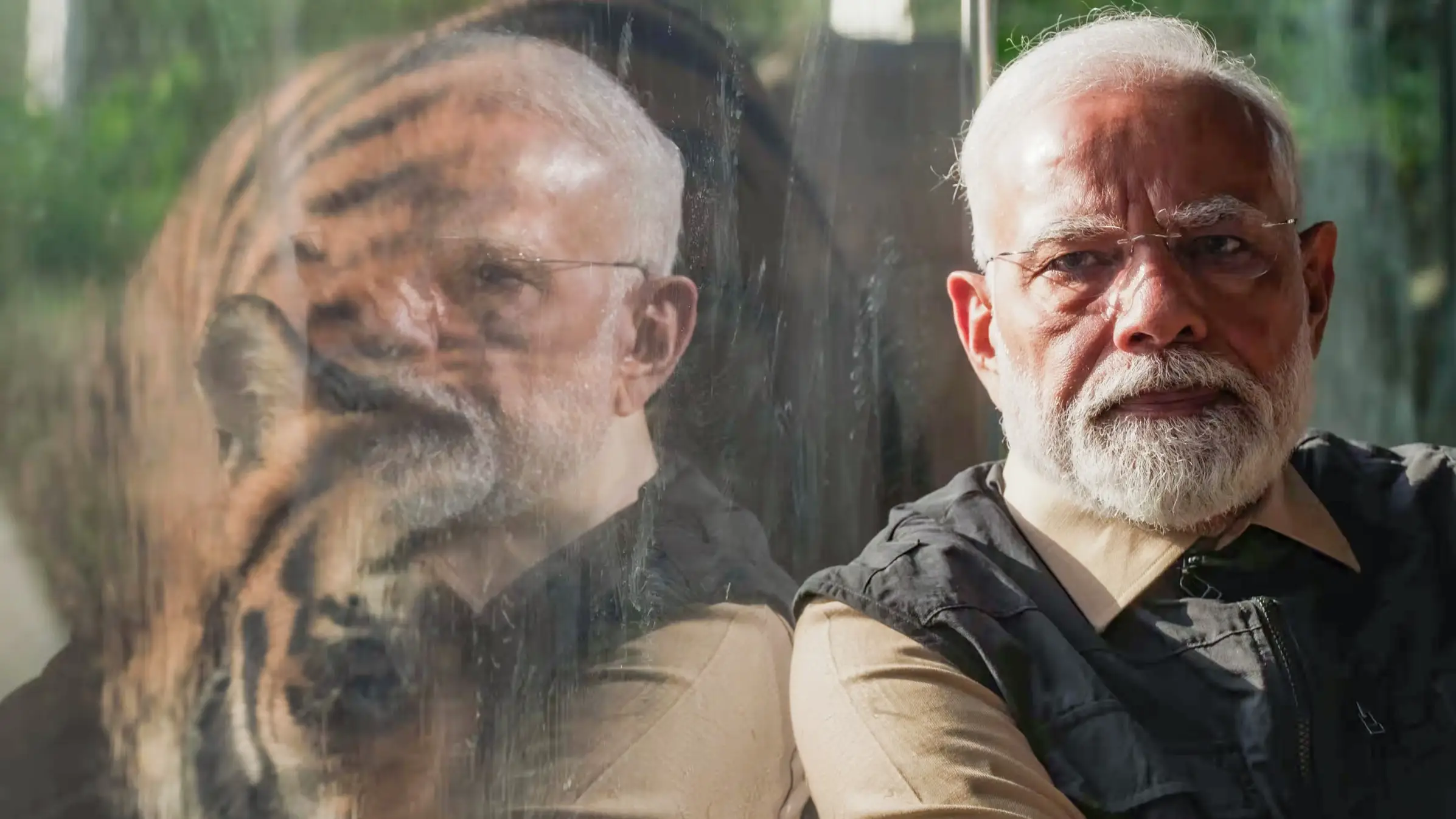 Description of the pic