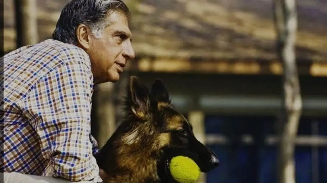 A Royal Snub: When Ratan Tata Ditched Honour at Buckingham Palace For His Dogs Tango And Tito A Royal Snub: When Ratan Tata Ditched Honour at Buckingham Palace For His Dogs