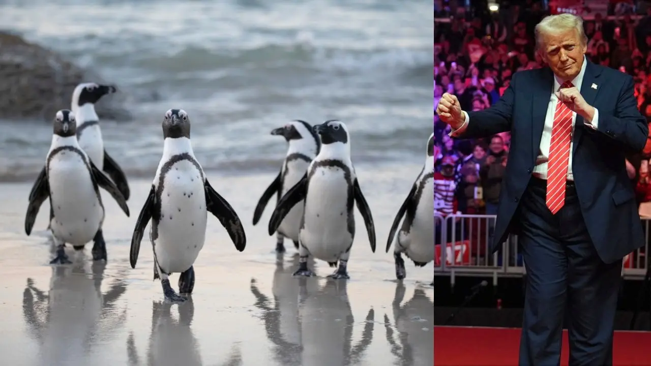 A Tariff on ‘No One’: Trump’s 10% Duty on Heard and McDonald Islands Explained