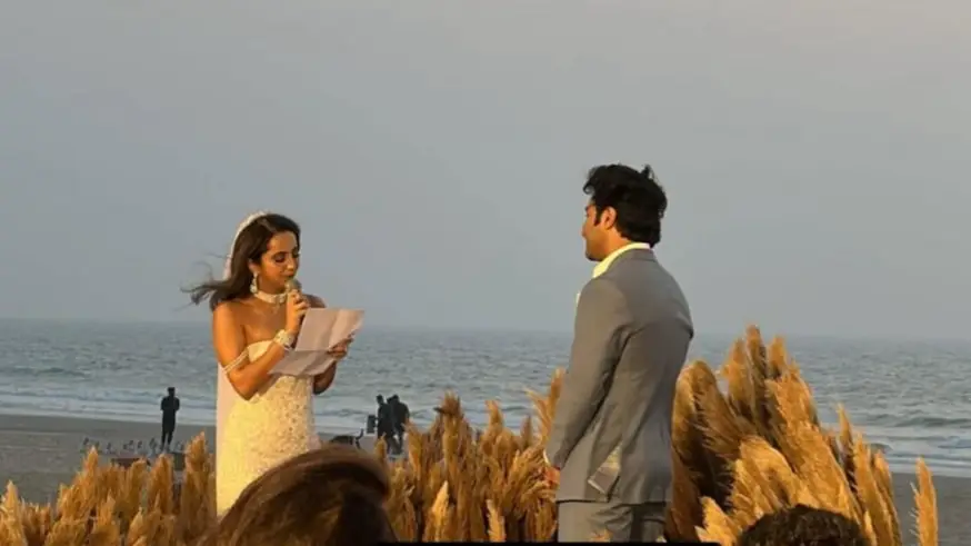 Description of the pic