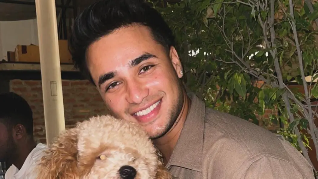 Description of the pic