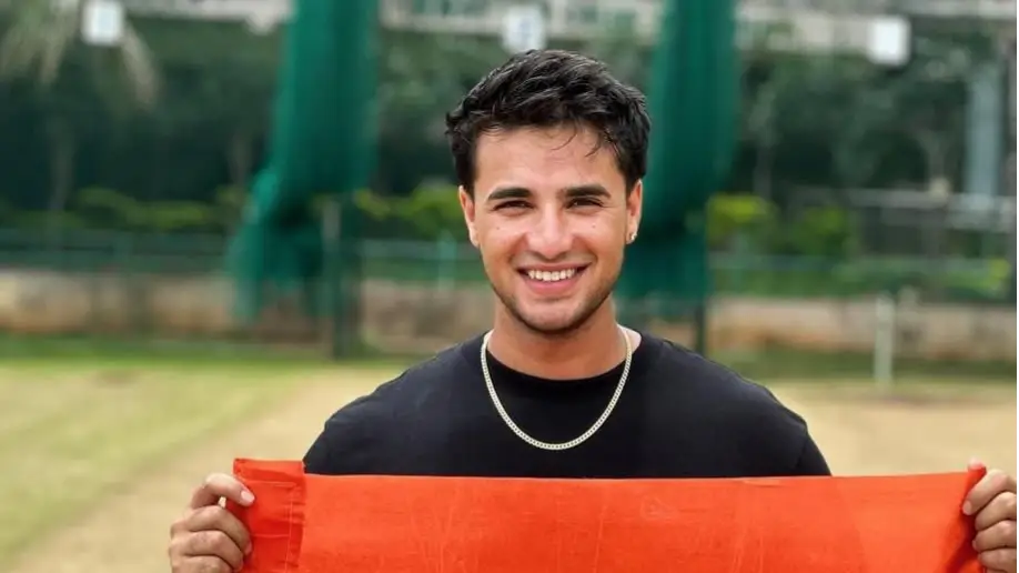 Description of the pic