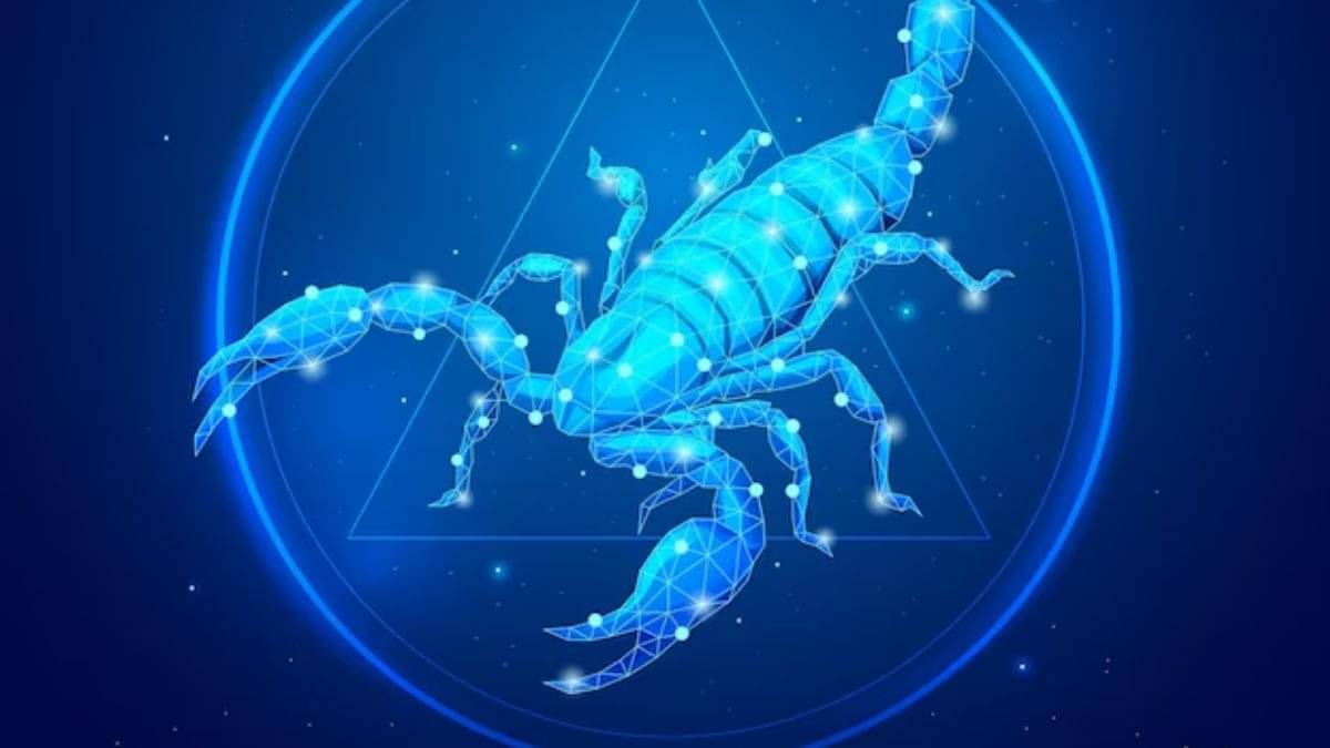 Description of the pic