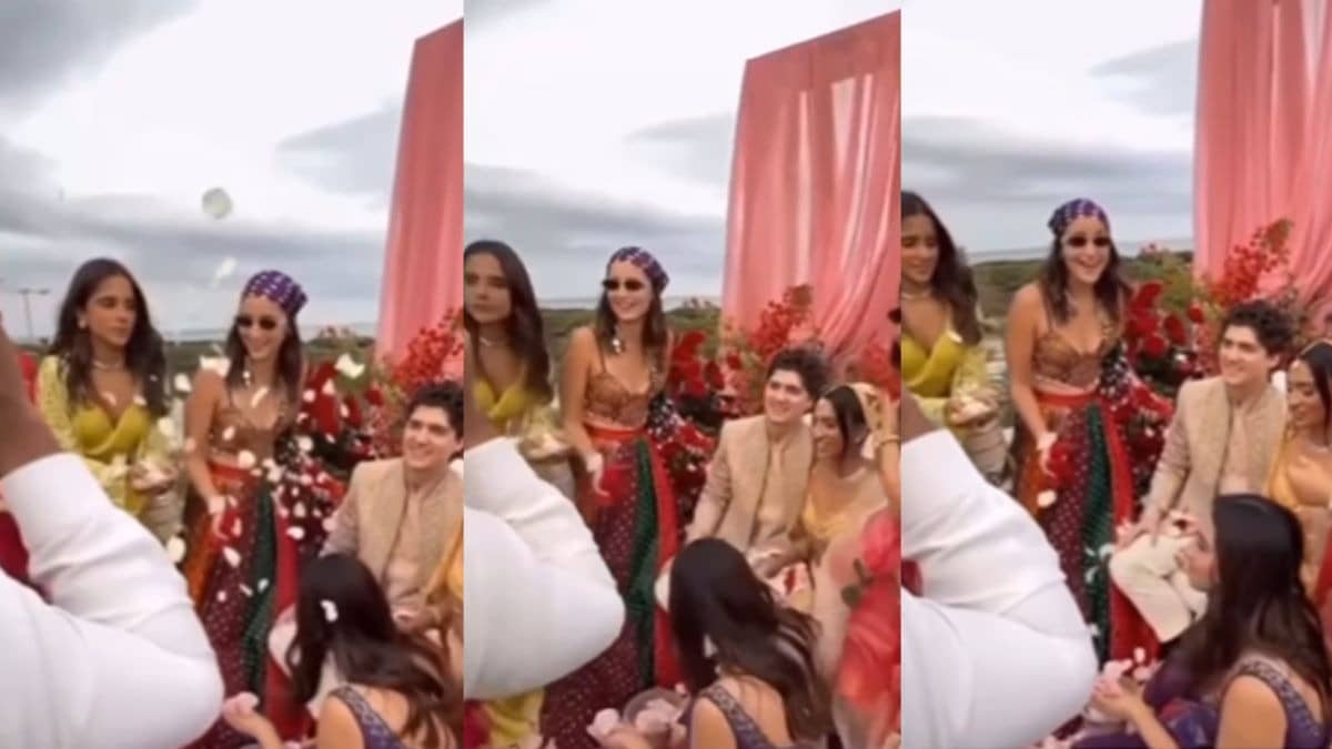 Description of the pic