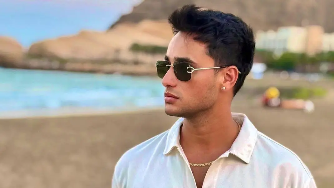 Description of the pic