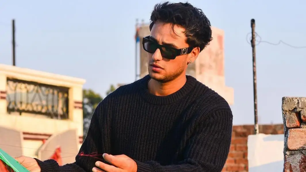 Description of the pic