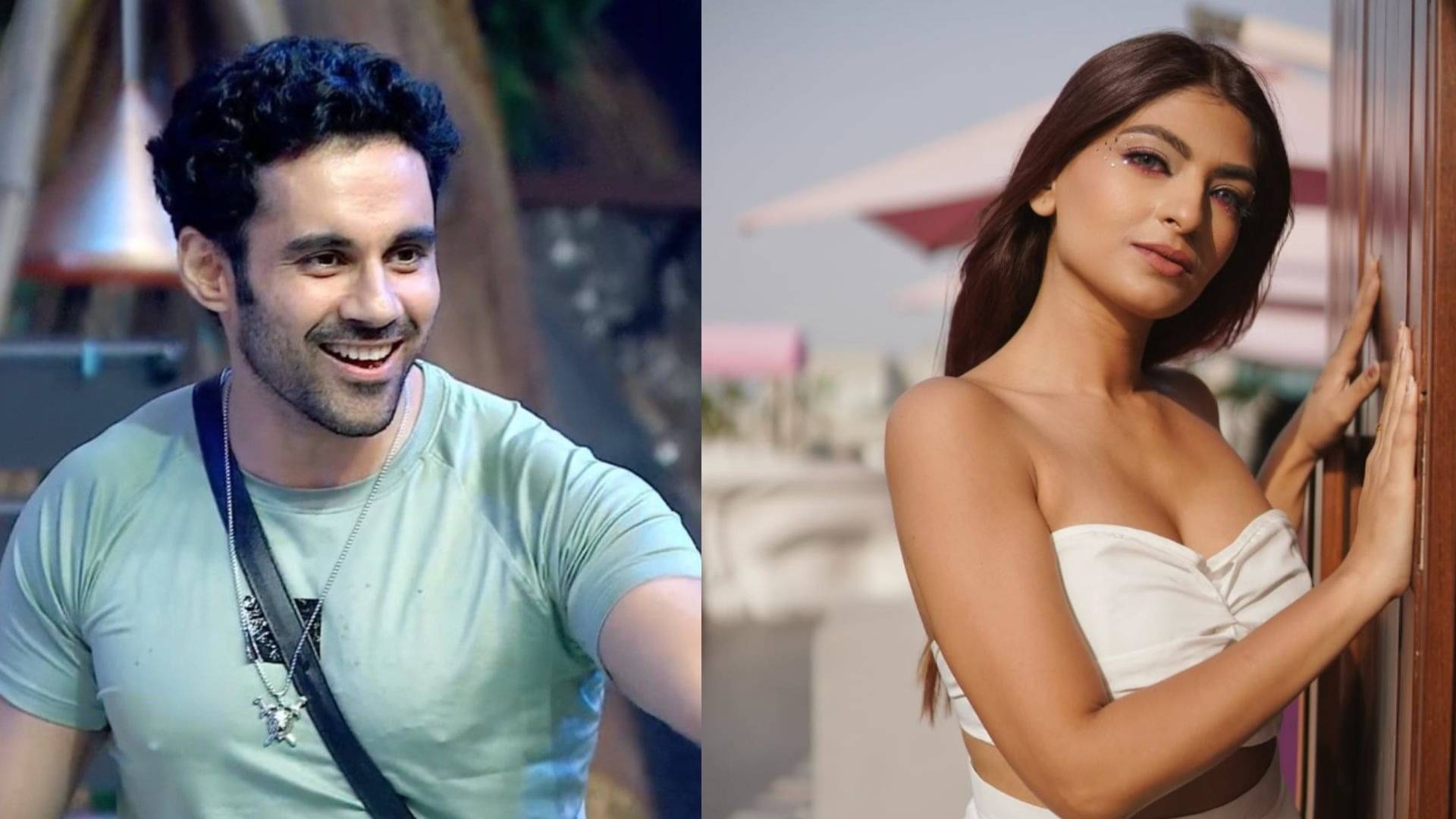 Description of the pic