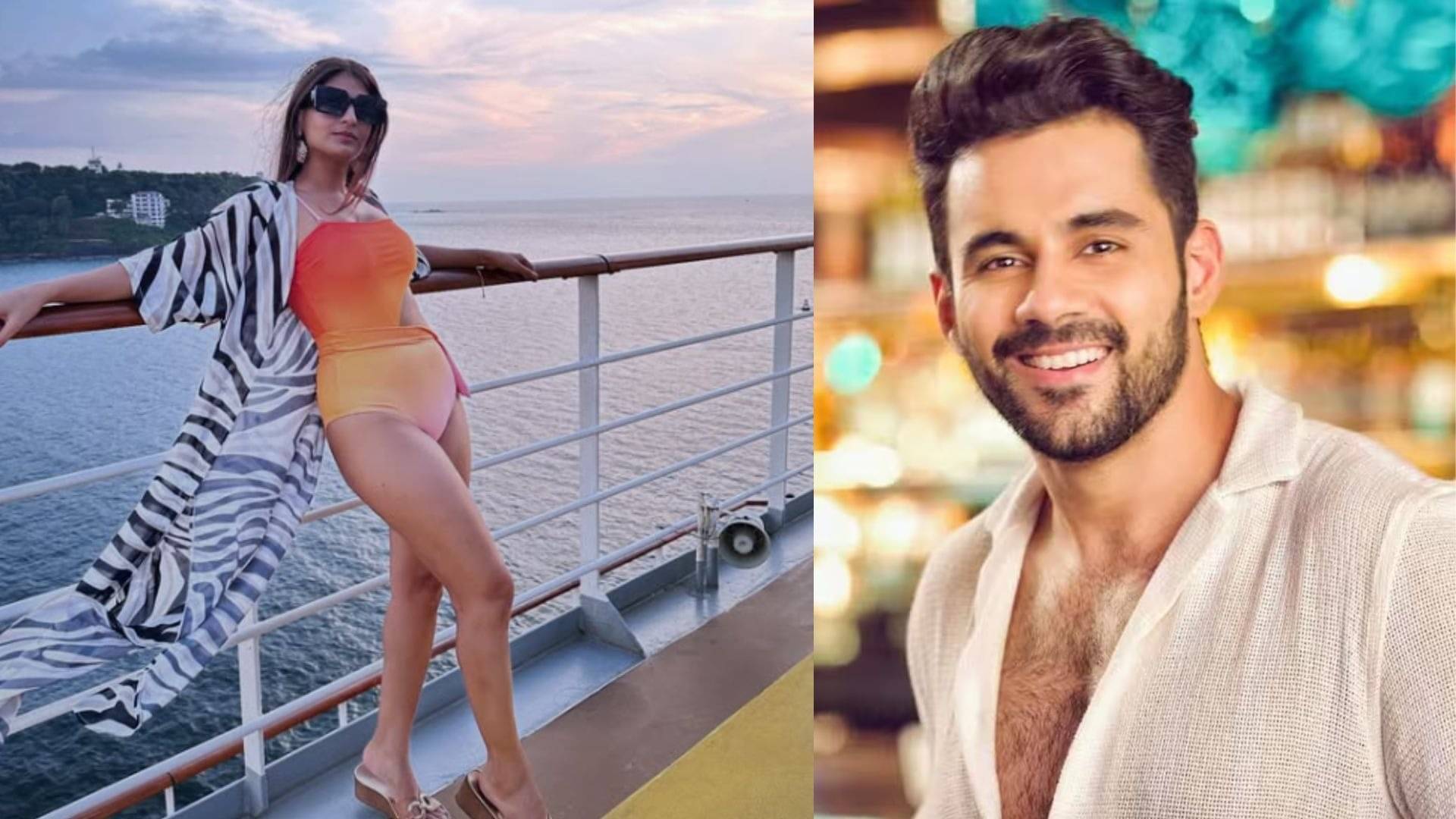 Description of the pic