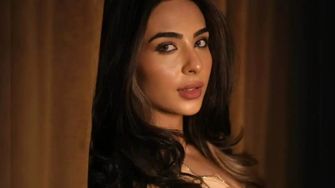 Description of the pic