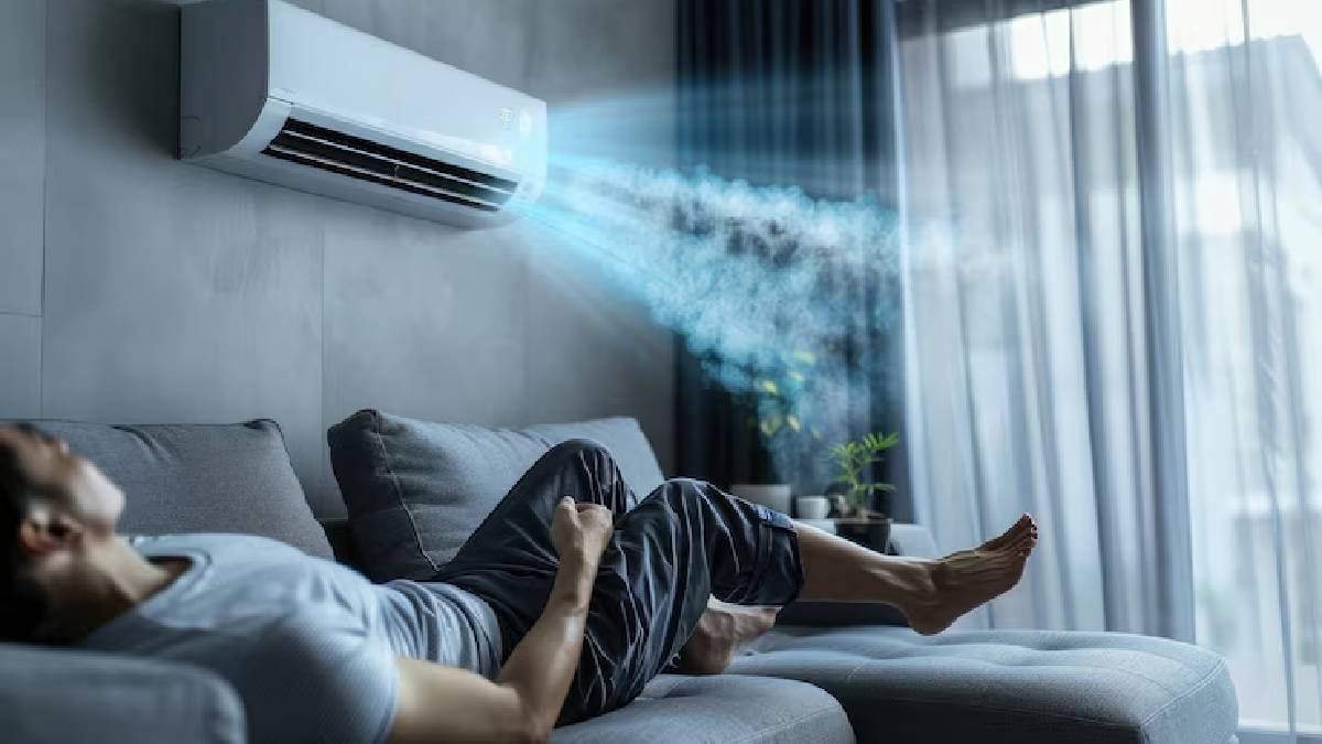 Description of the pic