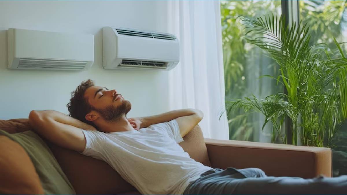 Description of the pic