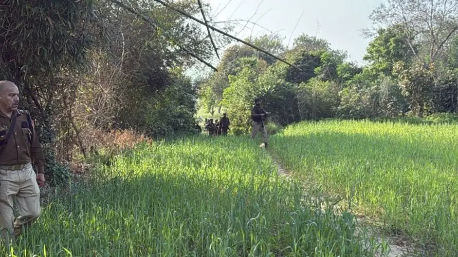 DGP J&K Leads Anti-terror Operations With AK Rifle in Kathua | PHOTOS DGP
