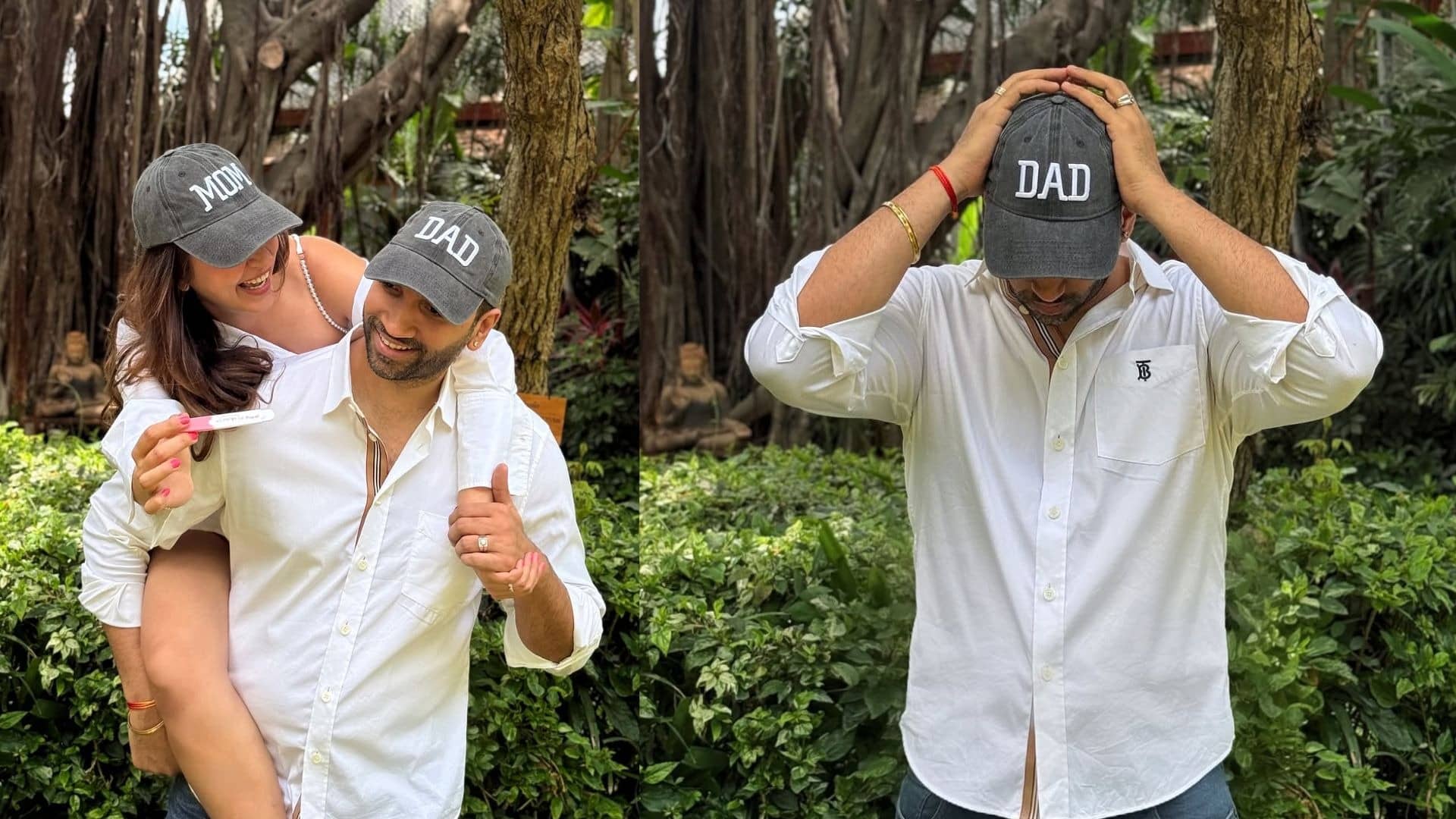 Description of the pic