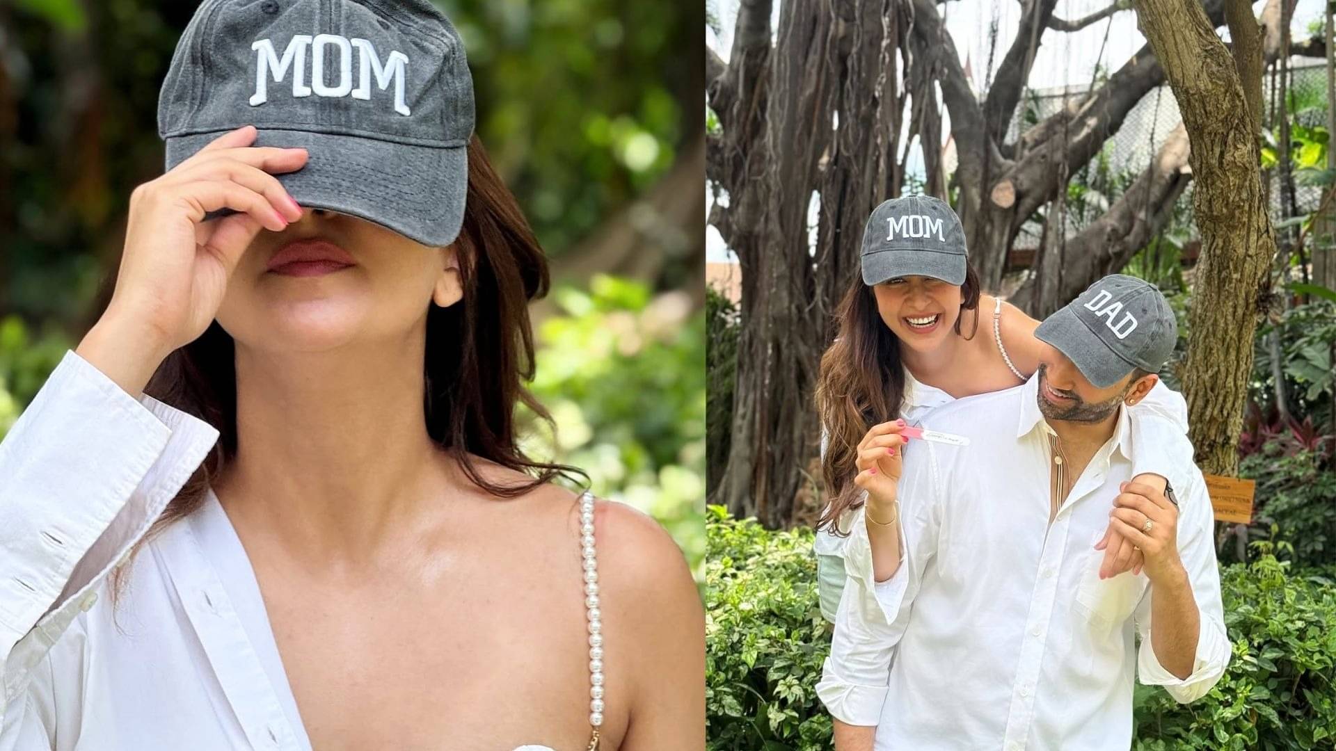 Description of the pic