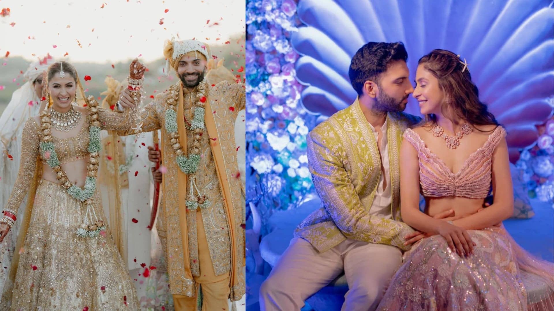 Description of the pic